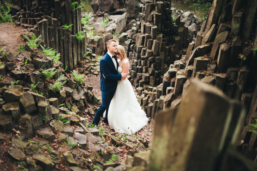 Natalia i Michał | sesja ślubna – Park Rododendronów, Kromlau